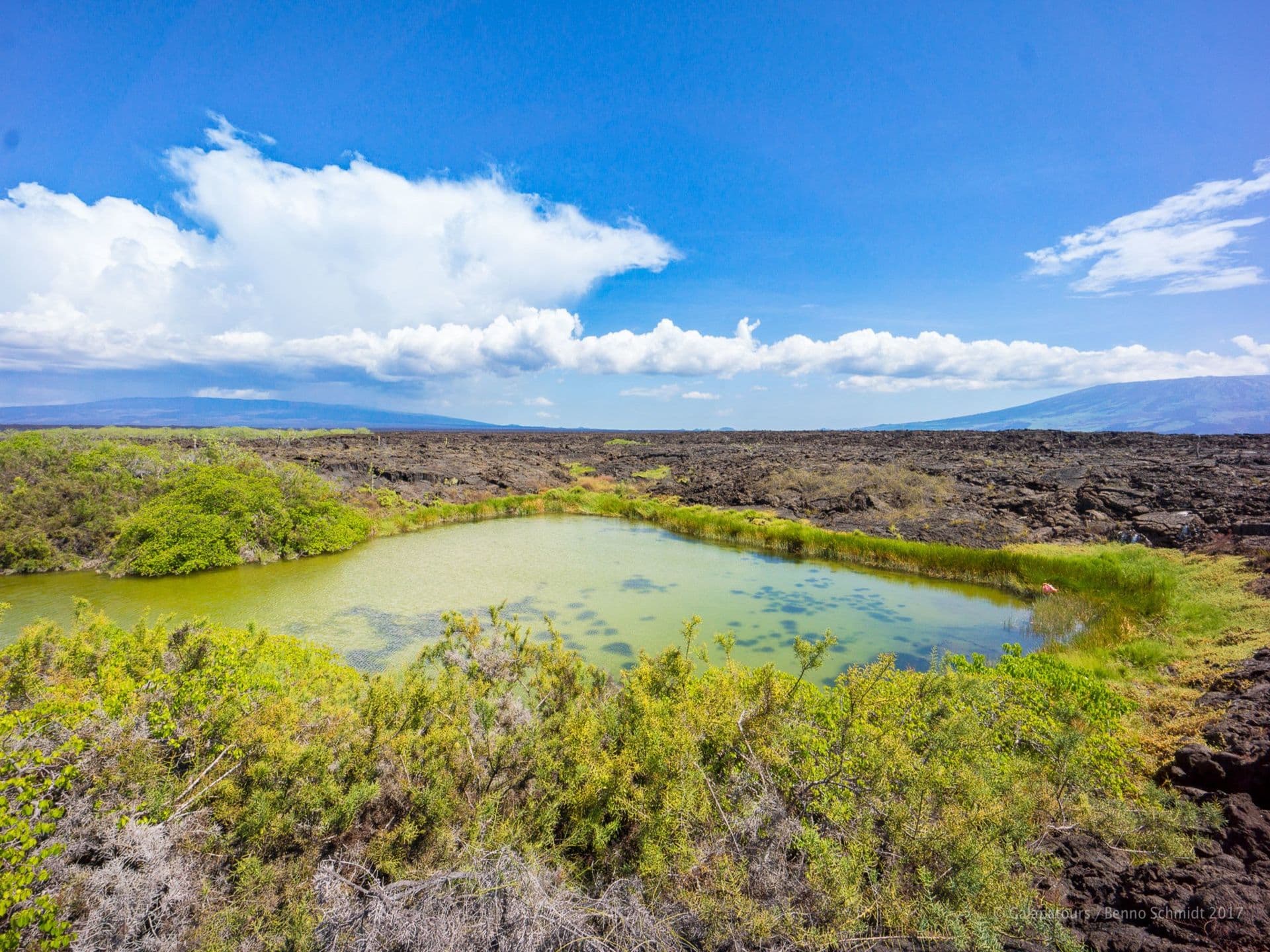 Entdecken Sie Isabela und weitere Galapagos Inseln