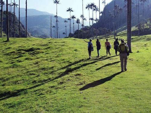 Valle del Cocora group trip