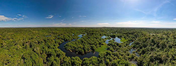 pantanal