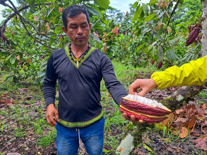 Visit cacao plantation Sinchi Warmi